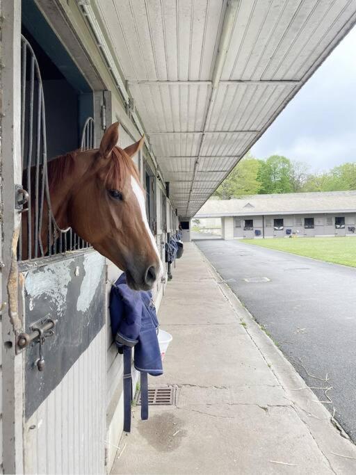 Paddock Prestige By La Boite En Plus Chantilly Luaran gambar